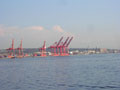 cranes on return.jpg
